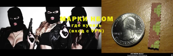 индика Струнино