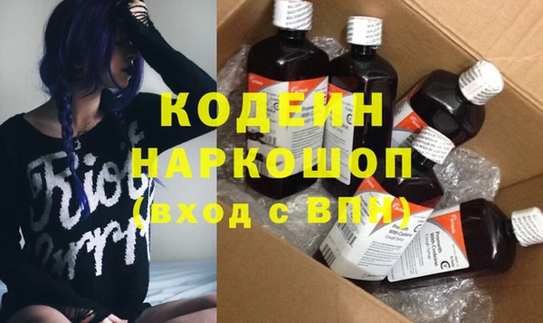 индика Струнино