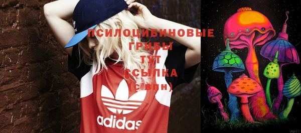 гидропоника Белоозёрский