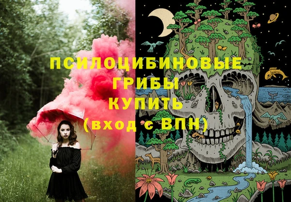 первитин Белокуриха